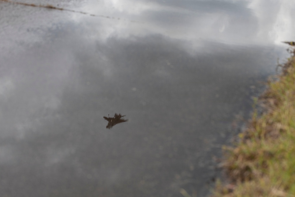 VMA-223 conducts flight operations