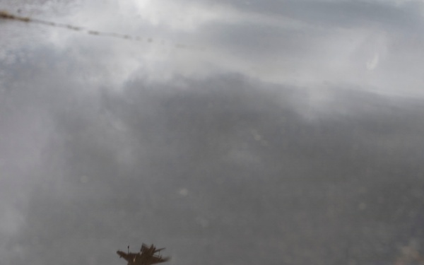 VMA-223 conducts flight operations