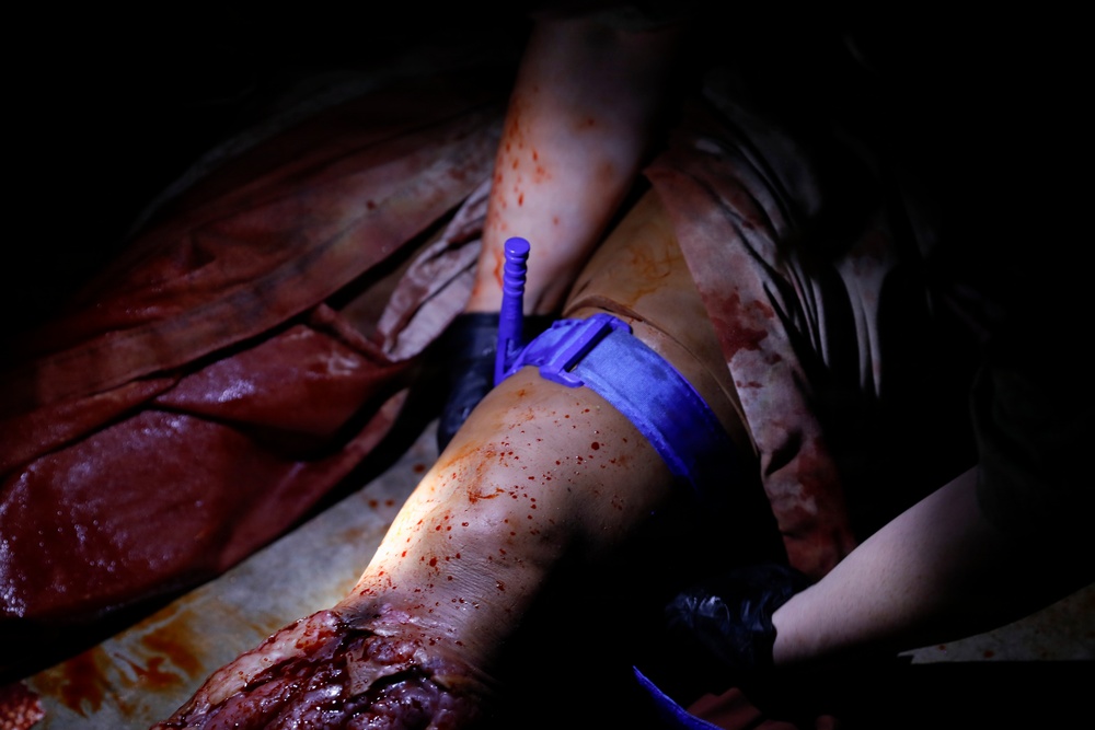 Joint Emergency Medicine Exercise 2026 Tactical Combat Casualty Care