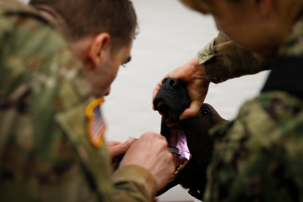 Joint Emergency Medicine Exercise 2026 Tactical Combat Casualty Care