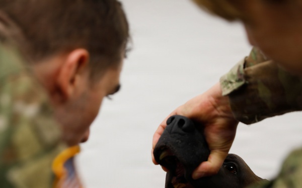 Joint Emergency Medicine Exercise 2026 Tactical Combat Casualty Care