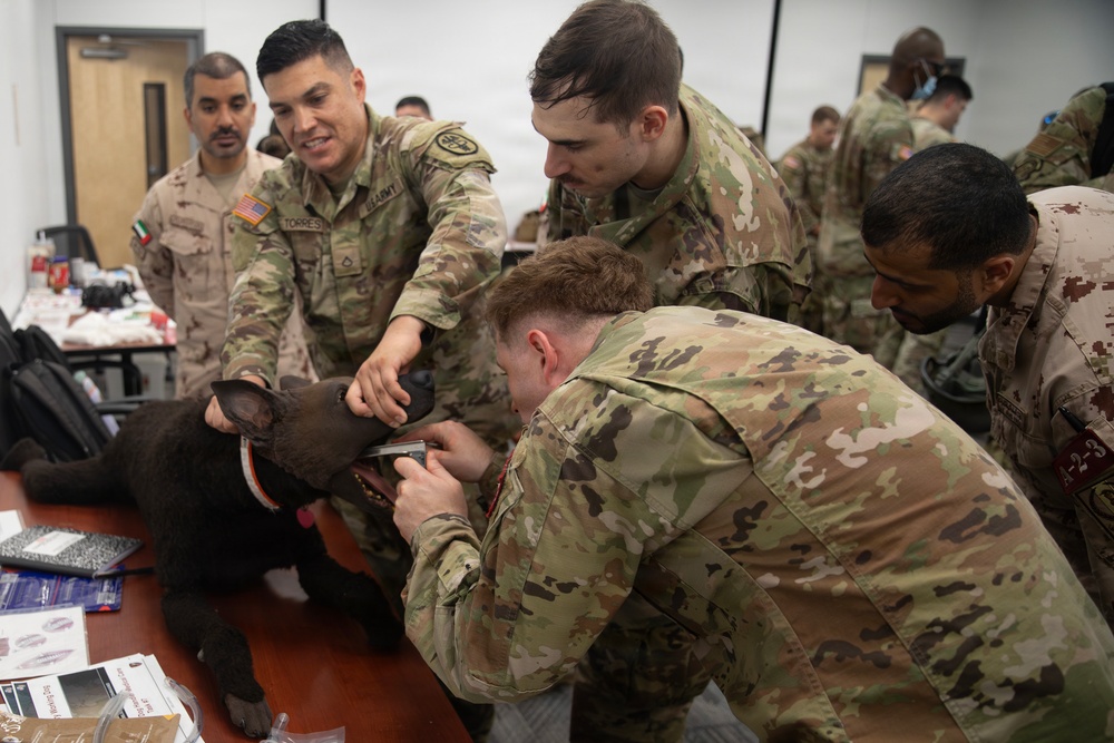 Joint Emergency Medicine Exercise 2026 TCCC Training