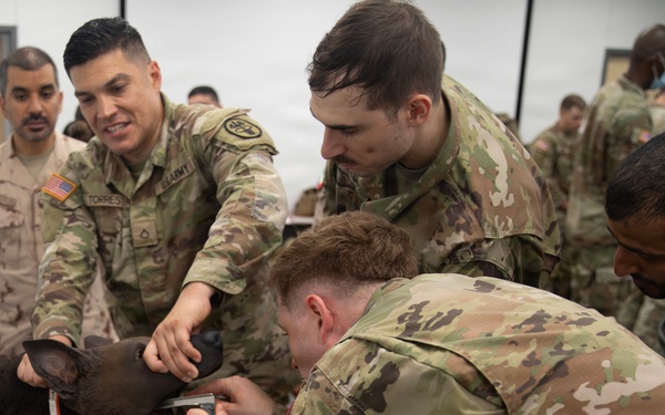 Joint Emergency Medicine Exercise 2026 TCCC Training