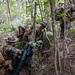 U.S. Marines from V3/7 Conduct Patrolling Exercise