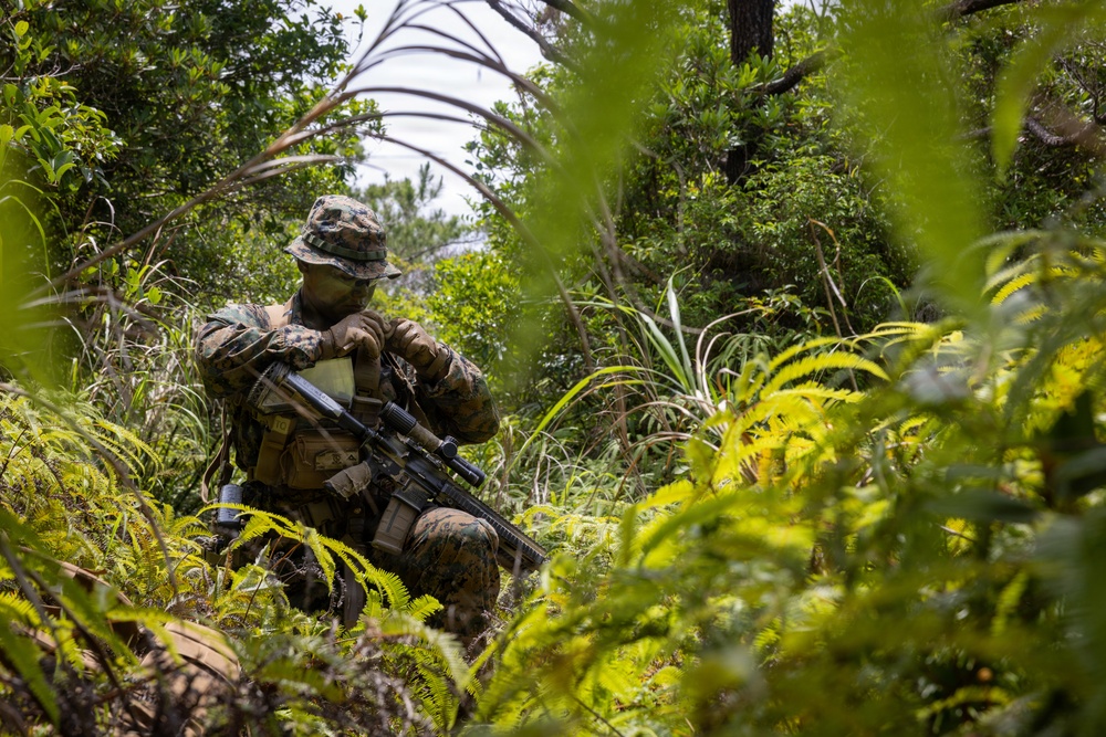 U.S. Marines from V3/7 Conduct Patrolling Exercise