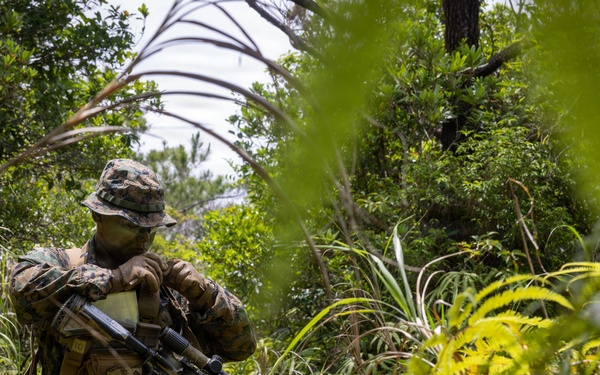 U.S. Marines from V3/7 Conduct Patrolling Exercise