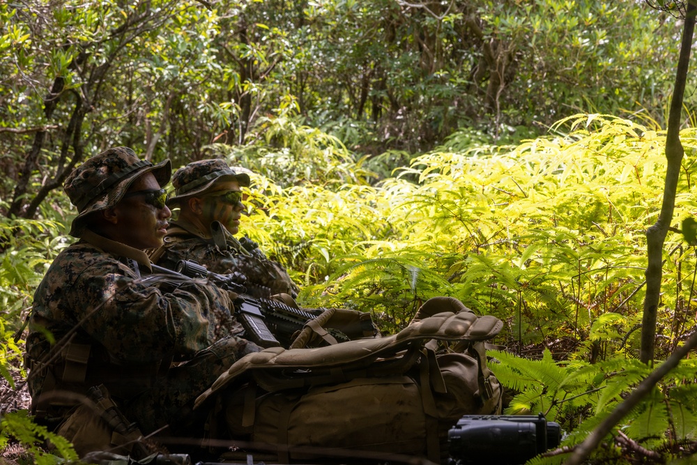 U.S. Marines from V3/7 Conduct Patrolling Exercise