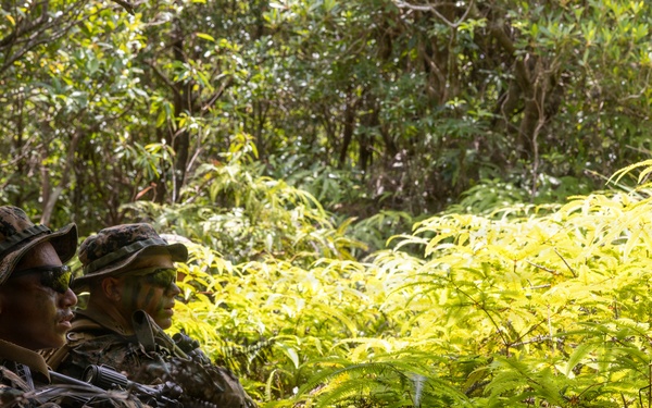 U.S. Marines from V3/7 Conduct Patrolling Exercise