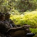 U.S. Marines from V3/7 Conduct Patrolling Exercise