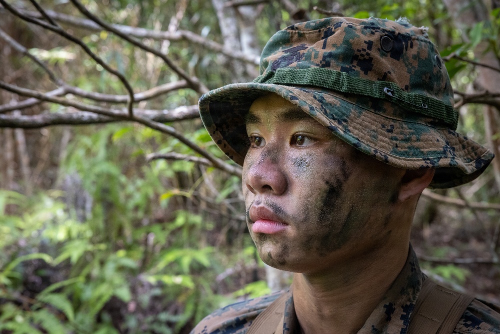 U.S. Marines from V3/7 Conduct Patrolling Exercise
