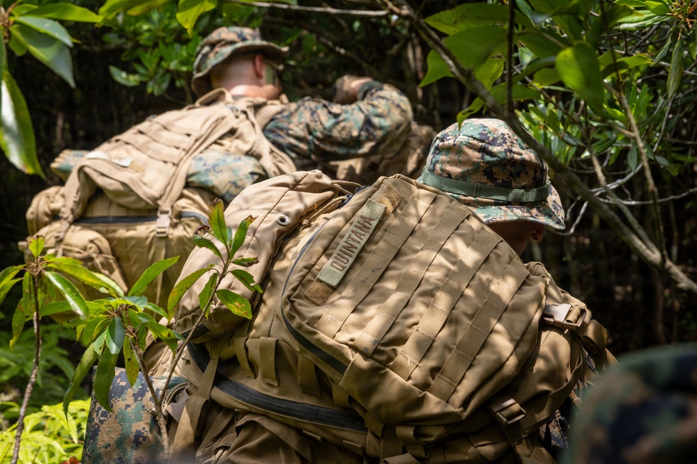 U.S. Marines from V3/7 Conduct Patrolling Exercise