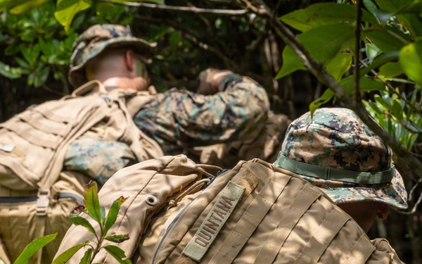 U.S. Marines from V3/7 Conduct Patrolling Exercise