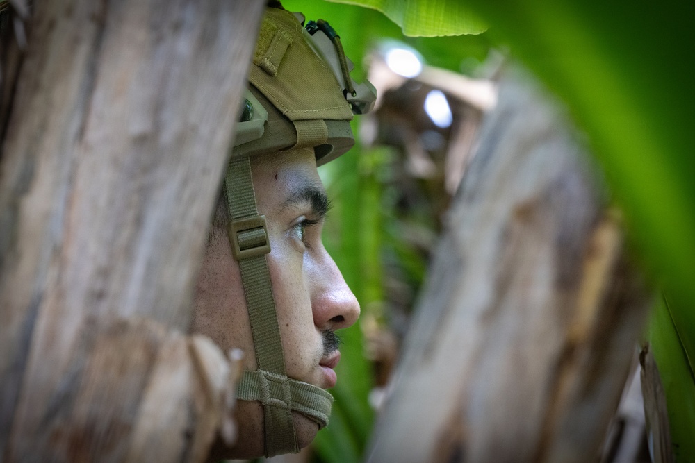 U.S. Marines Participate in a FIM-92 Stinger Dry-Fire Exercise