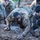 2d Cavalry Regiment’s Dragoon week 2026
