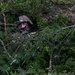 Virginia Guard engineers face final challenge of Karelian Sword 26