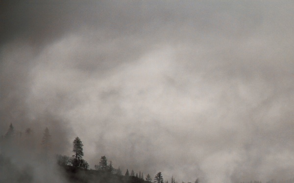 Mendocino National Forest Landscape