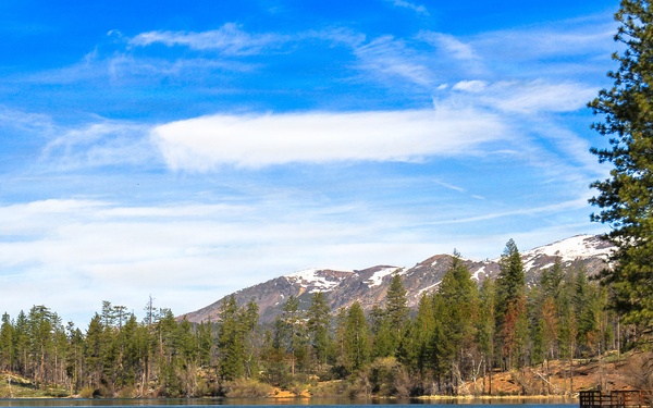 Mendocino National Forest Landscape