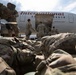 JTF-DC welcomes new arrivals