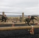 CORTRAMID: NROTC Midshipmen take on the O-Course