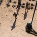 U.S. Special Forces, Royal Moroccan Armed Forces conduct Joint Combined Exchange Training