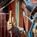 Engineering Security: Marines strengthen US-Mexico border defenses