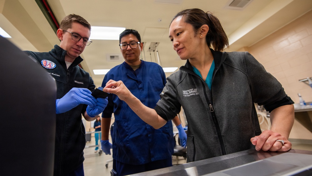 Protecting the bite: Travis AFB, UC Davis partner to enhance MWD readiness