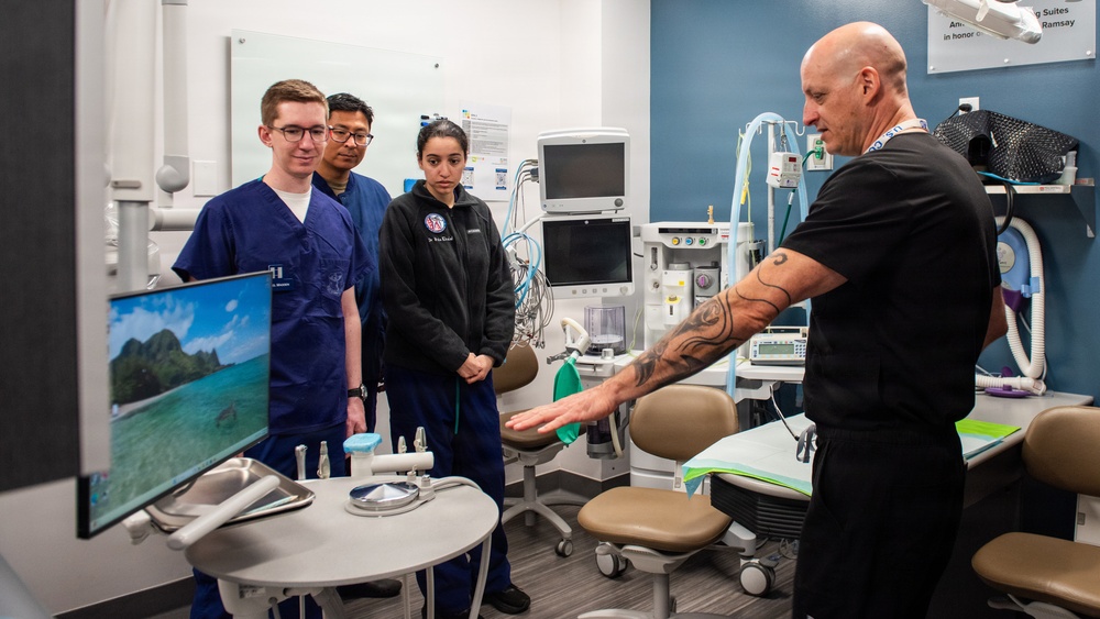 Protecting the bite: Travis AFB, UC Davis partner to enhance MWD readiness