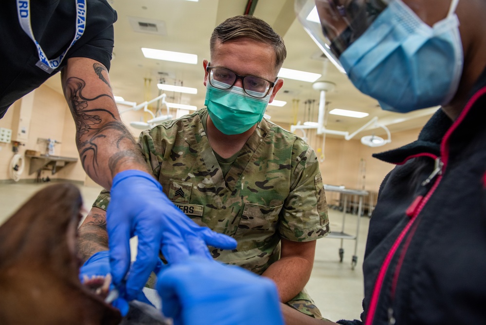 Protecting the bite: Travis AFB, UC Davis partner to enhance MWD readiness