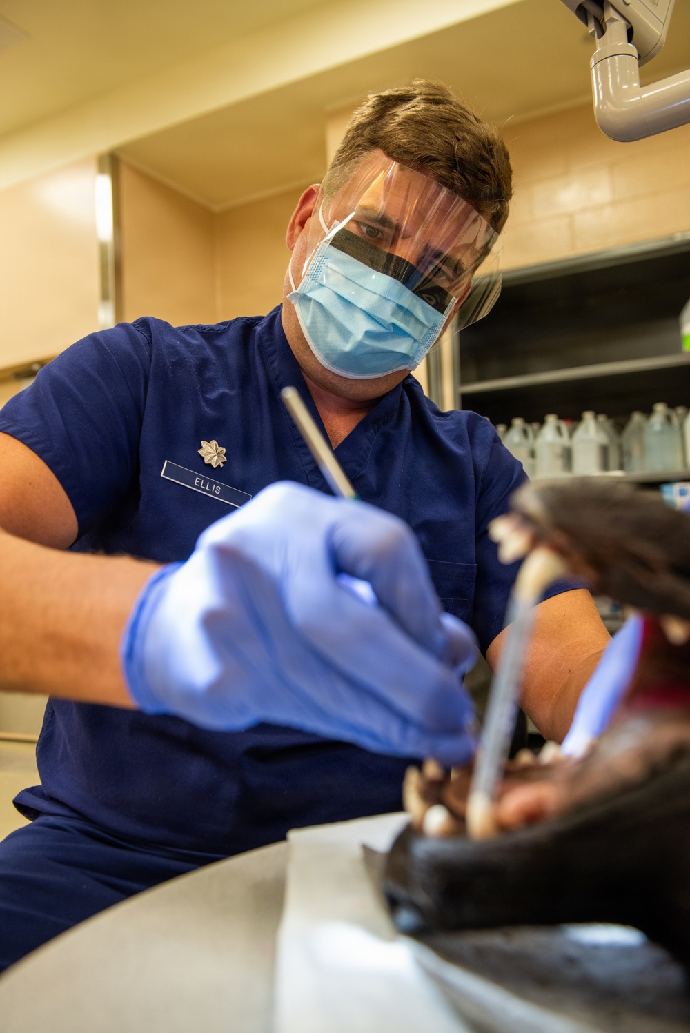 Protecting the bite: Travis AFB, UC Davis partner to enhance MWD readiness