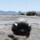 Logistics Combat Element Conducts Engineer Reconnaissance