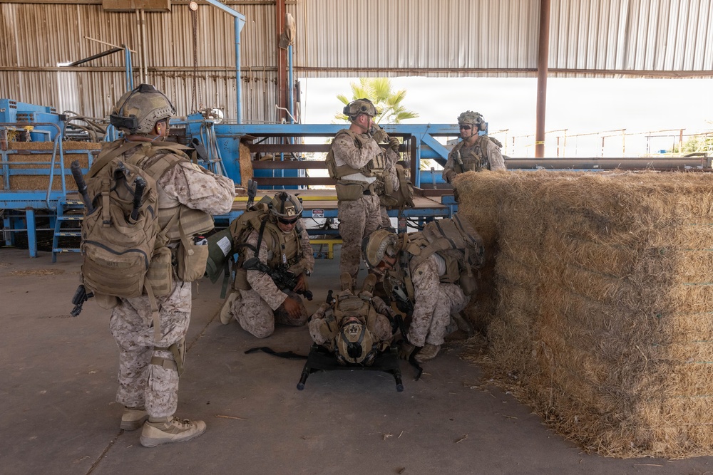 BLT 2/4 Conducts an Urban Raid