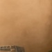 BLT 2/4 Conducts an Urban Raid