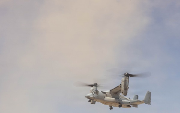 BLT 2/4 Conducts an Urban Raid