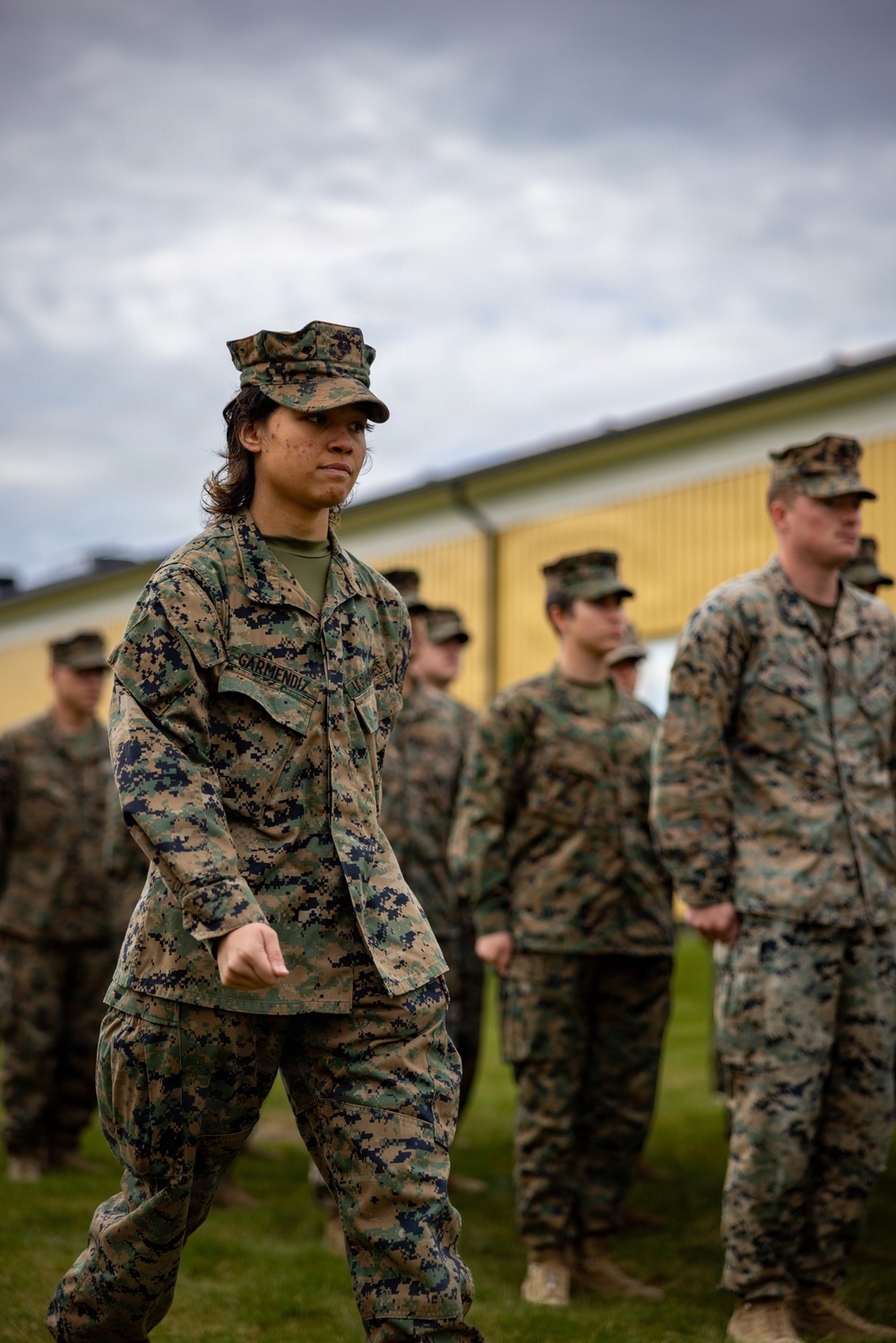 U.S. Marines receive promotions in Sweden