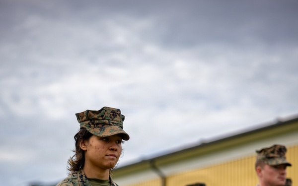 U.S. Marines receive promotions in Sweden