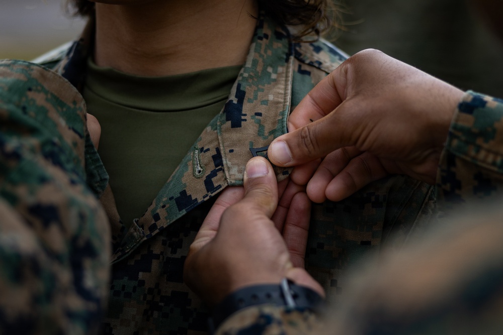 U.S. Marines receive promotions in Sweden