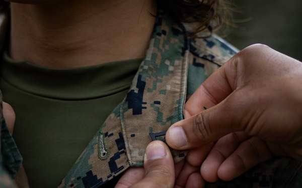 U.S. Marines receive promotions in Sweden