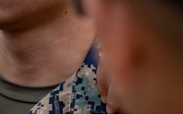 U.S. Marines receive promotions in Sweden