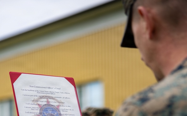 U.S. Marines receive promotions in Sweden