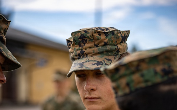 U.S. Marines receive promotions in Sweden