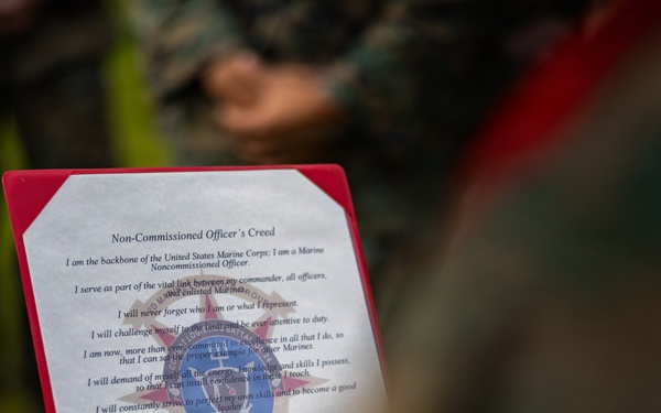 U.S. Marines receive promotions in Sweden