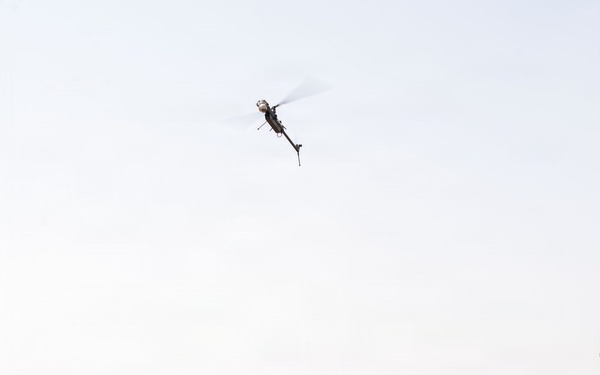 406 AEW Deputy Commander engages Airmen, strengthens bird hazard mitigation efforts across East Africa