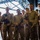 11th MEU Marines, Sailors Conduct Detainee Handling Training Aboard USS Boxer