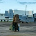 LCF-24: MV-22B Ospreys Arrive to Puerto Rico
