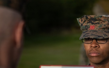 U.S. Marines receive promotions in Sweden