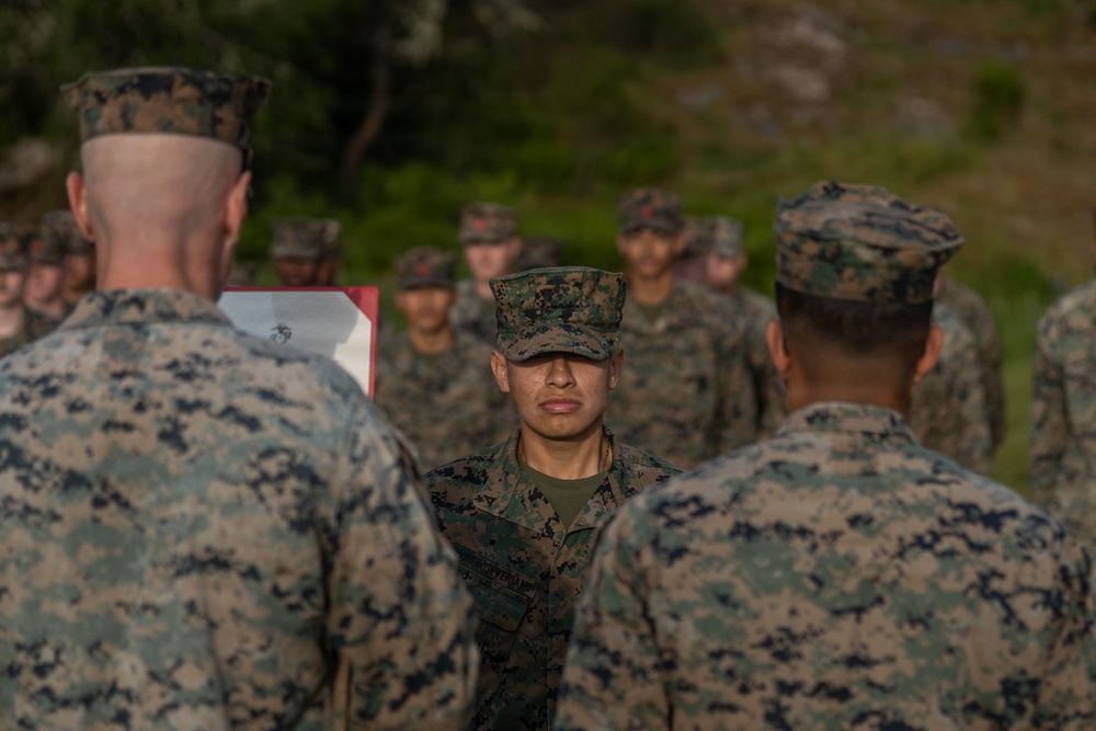 U.S. Marines receive promotions in Sweden