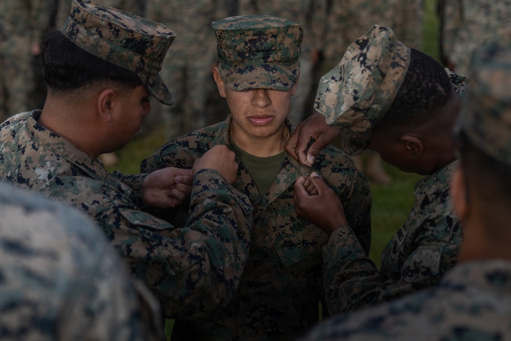 U.S. Marines receive promotions in Sweden