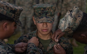 U.S. Marines receive promotions in Sweden