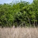 Boots on the ground: Exploring the heartland’s best trails