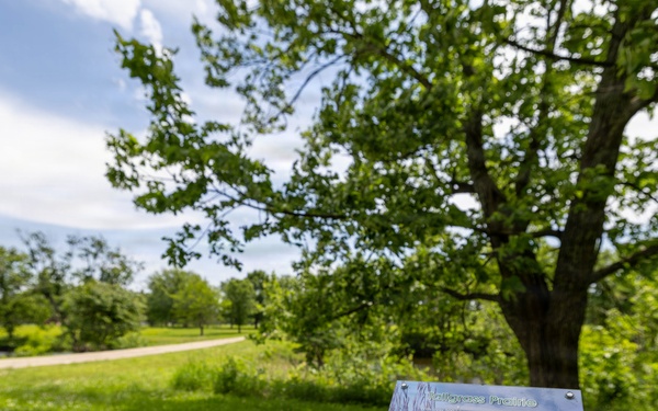 Boots on the ground: Exploring the heartland’s best trails